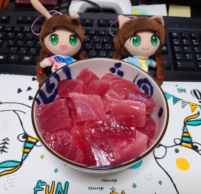 20250324-3.jpg